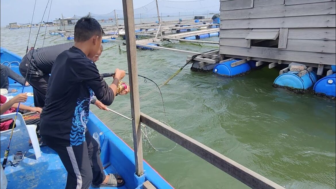 October 6, 2023, fishing trip on Sangkar Sungai Udang on Penang Island