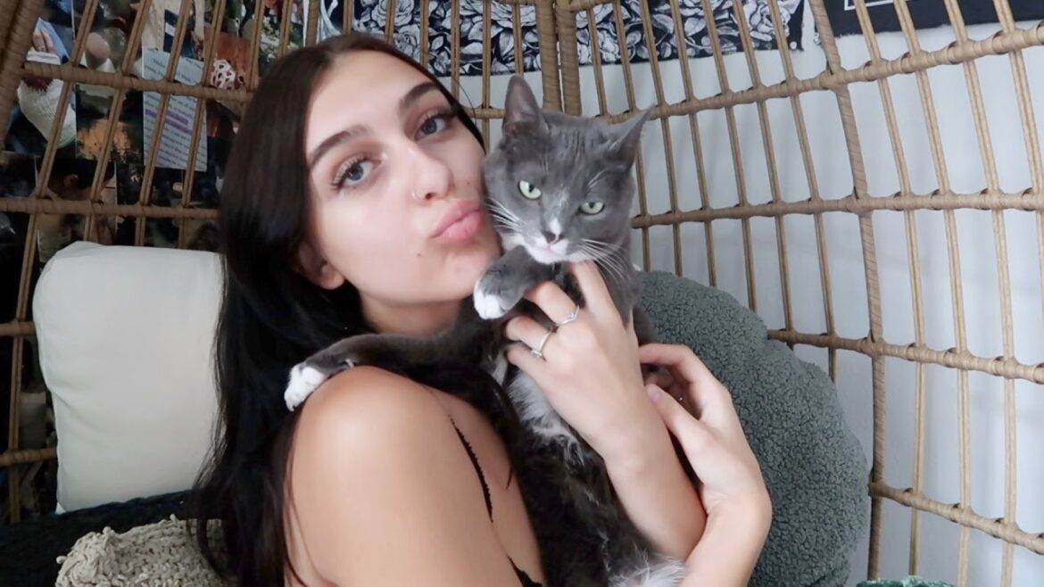 Life Update | Boyfriend, Work, New Kitten, Health, and Future Travel