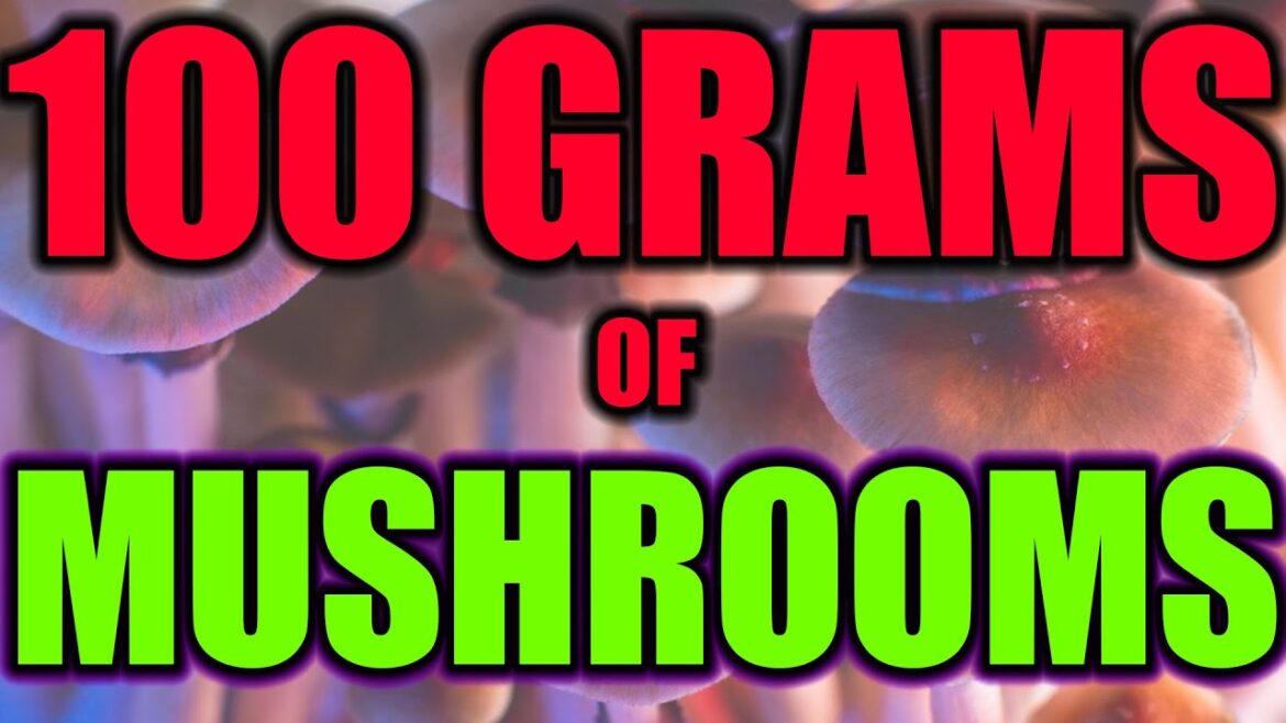 GOD DOSE -Trip experience in 100g magic mushrooms!
