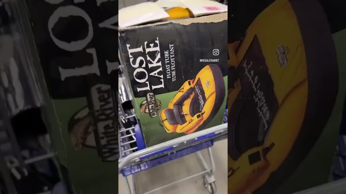 A tired trip on goodwill! This is what I found to sell on ebay!