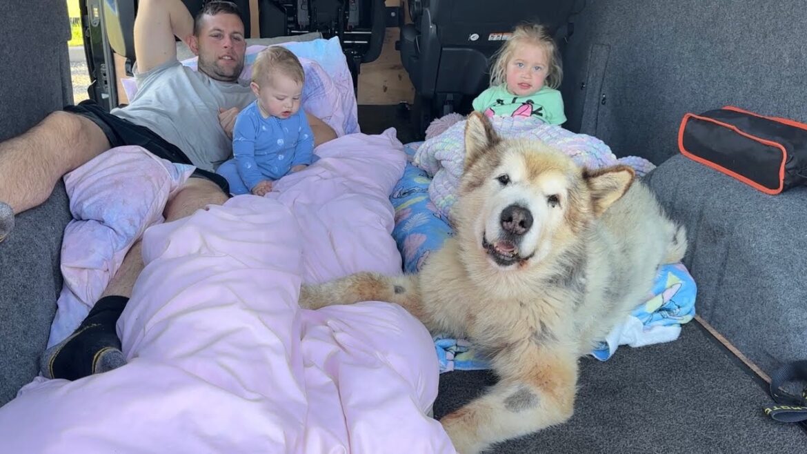 Camp trip with Daddy and Daughter’s Guard Dog!