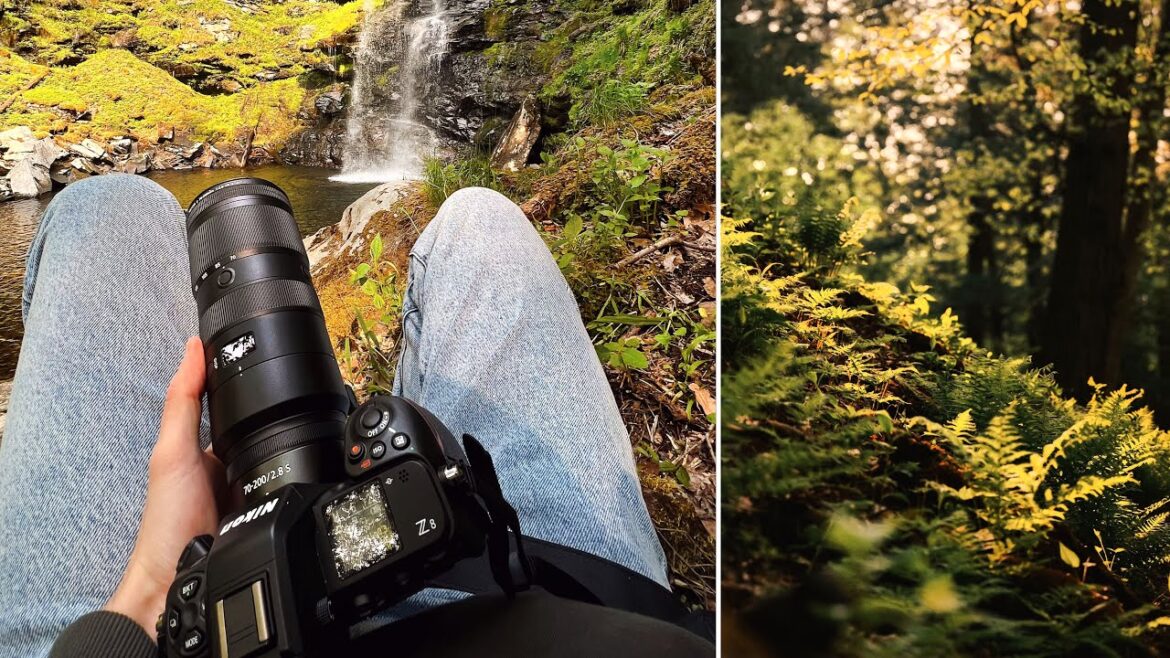 I traveled using Nikon’s Z 8 mirrorless camera!