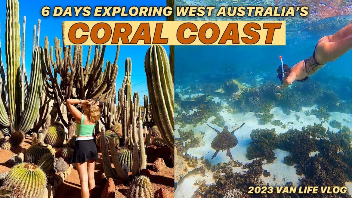 Travel to Coral Coast in West Australia! Dolphin snorkeling camp life!