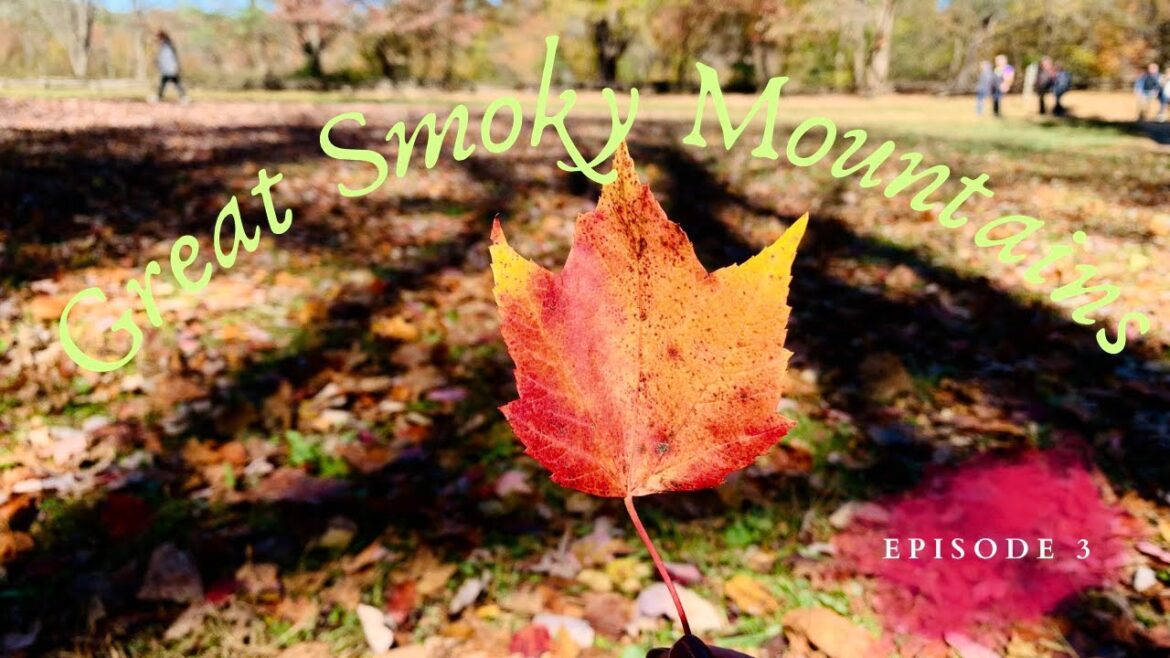 Travel to Great Smokey Mountain | Road Trip from Memphis to Pigeon Forge | Indian food | Bangla Blog